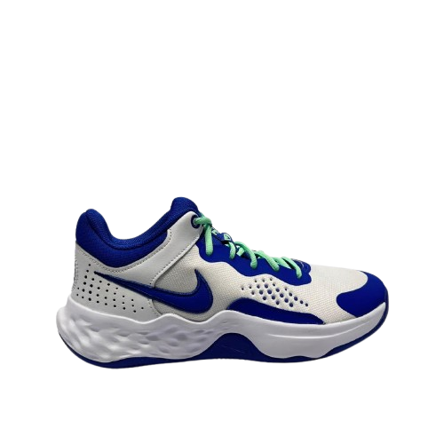 ZAP NIKE DD9311-102 NIKE