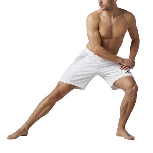 Adidas Tiro24 Competition Match Shorts Herren
