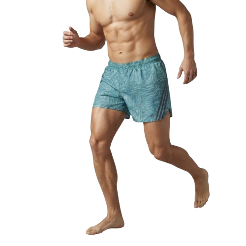 shorth celeste L